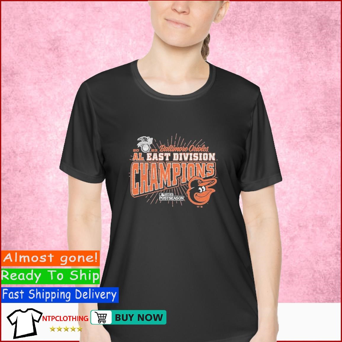 Baltimore Orioles '47 2023 AL East Division Champions Distressed