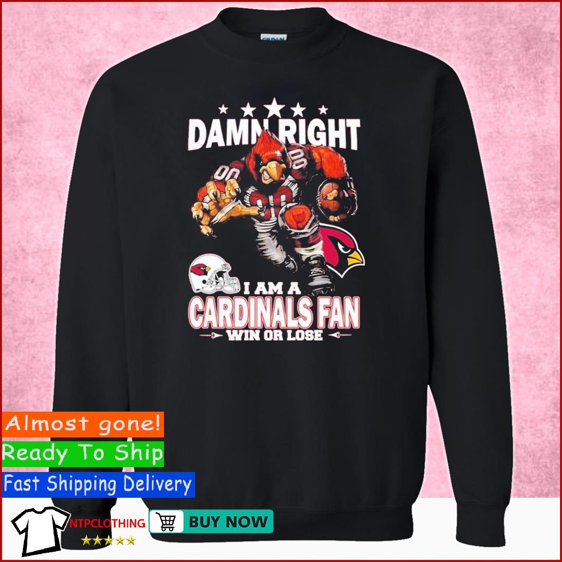 Damn Right I Am Arizona Cardinals Fan Win Or Lose Unisex T-Shirt