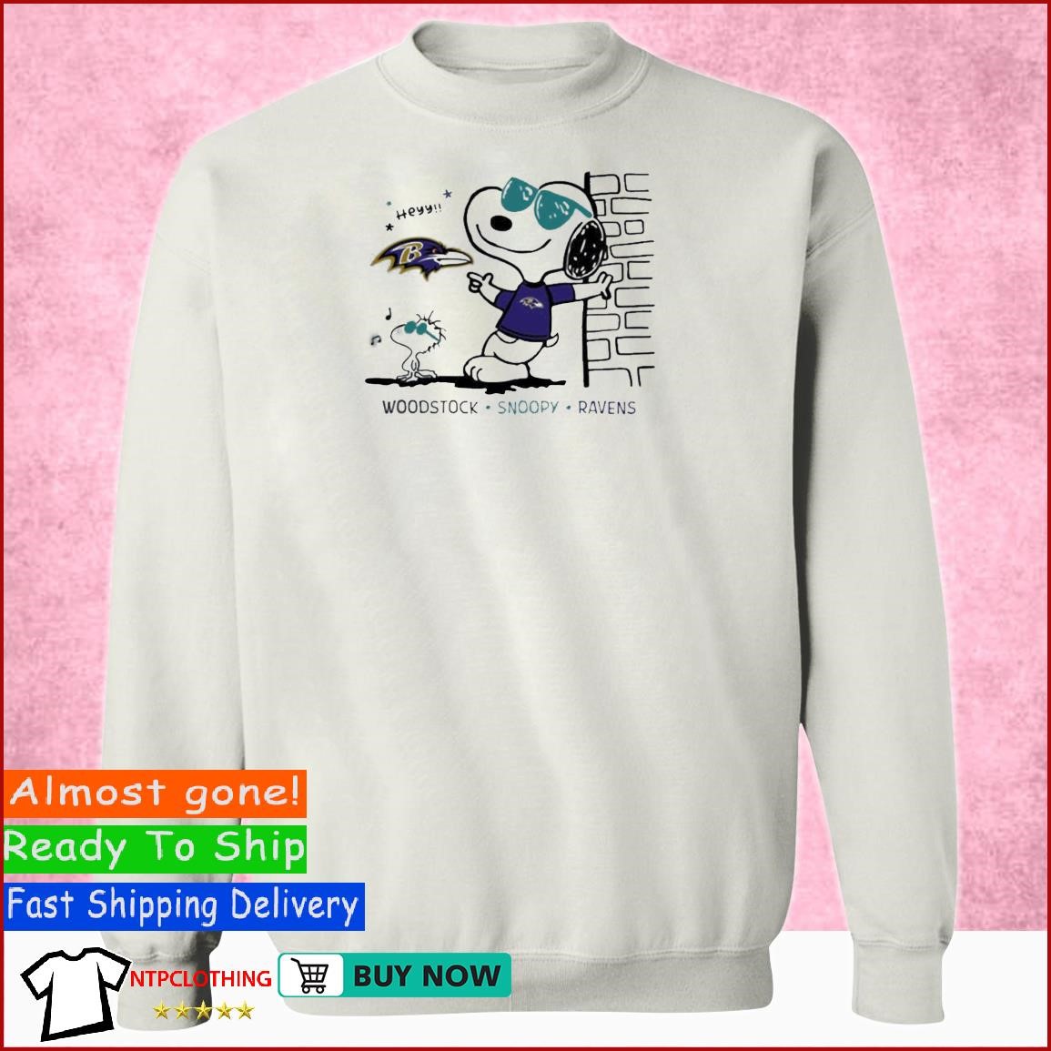 Woodstock Snoopy Ravens Shirt