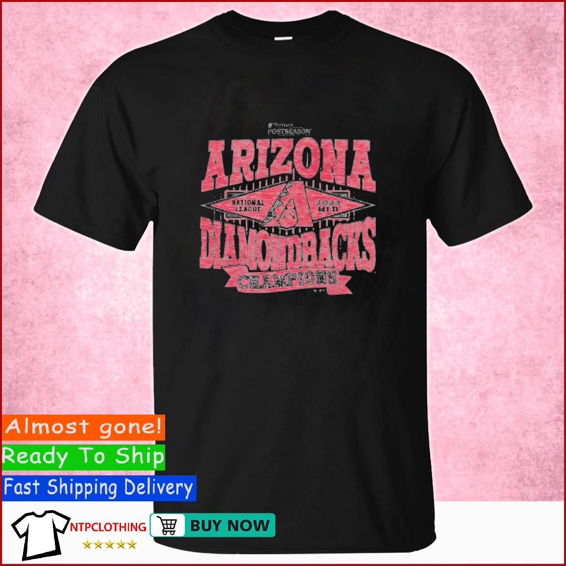 Official Arizona Diamondbacks Division Series Champs Gear