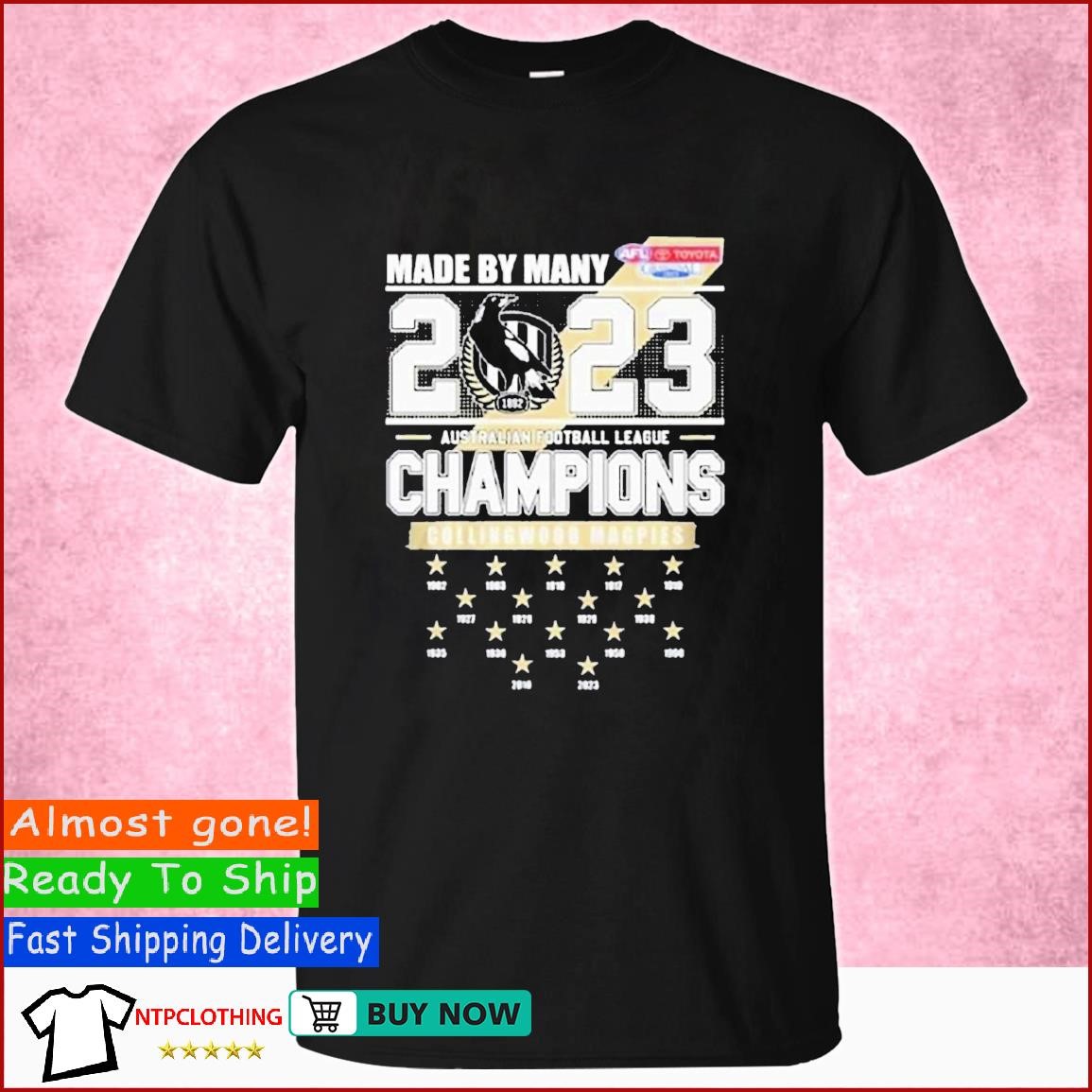 NFC south division Champions New Orleans Saints 2006-2020