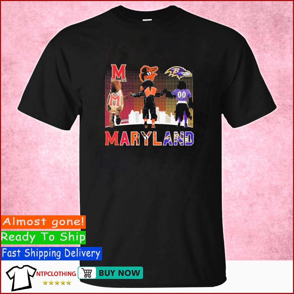 Baltimore Ravens And Baltimore Orioles Mascot Skyline shirt