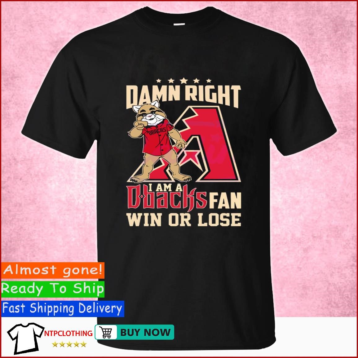 I Am Arizona Diamondbacks Fan T-shirt, hoodie, sweater, long sleeve and  tank top