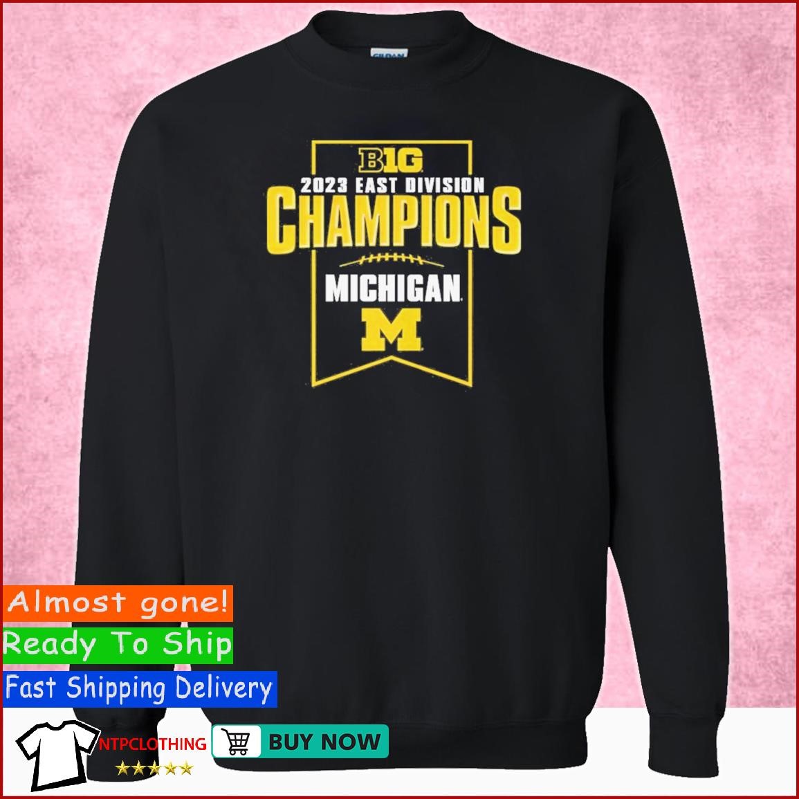 Michigan Football 2023 Big Ten East Division Champions Shirt, hoodie ...
