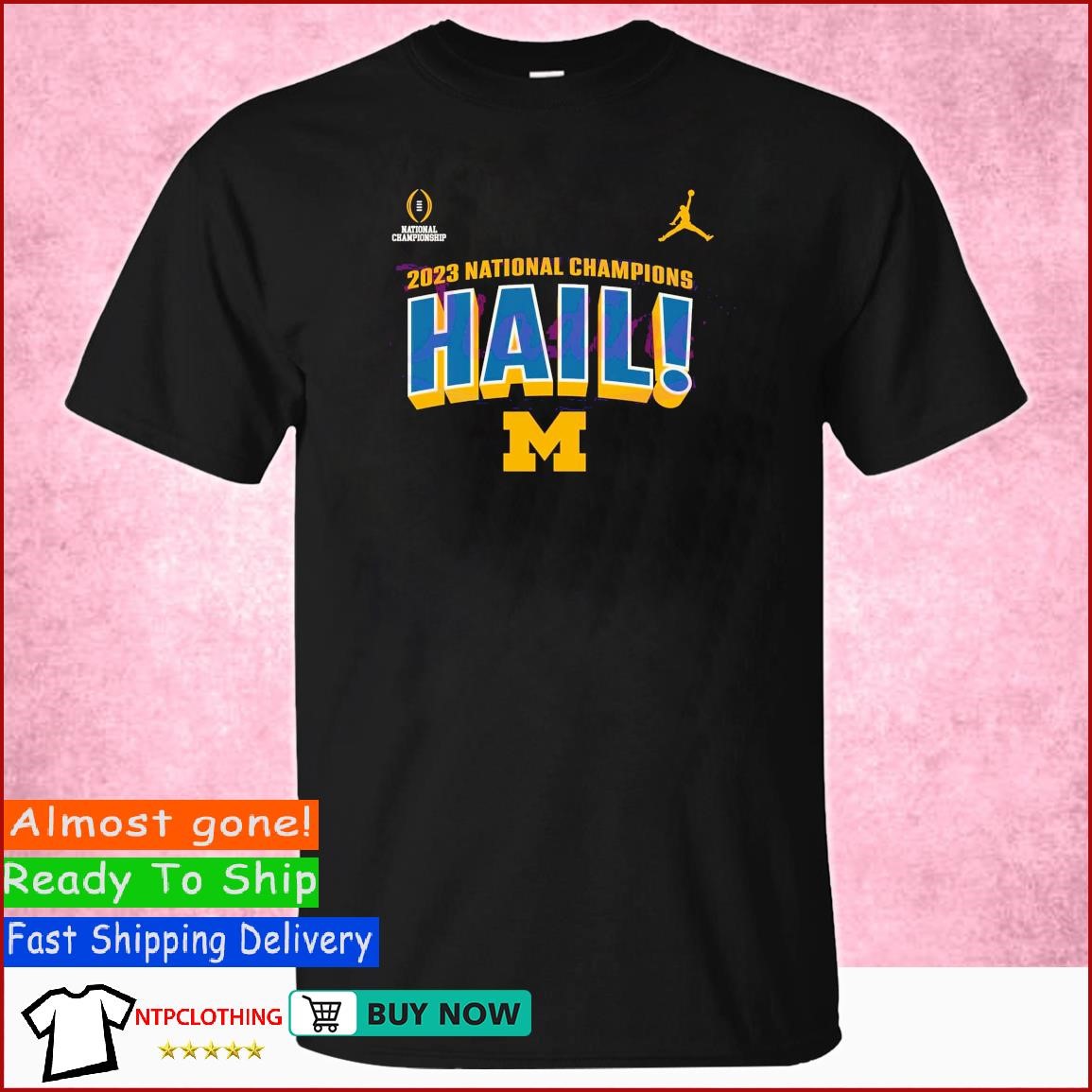 2023 National Champions Hail ! Michigan Wolverines Shirt