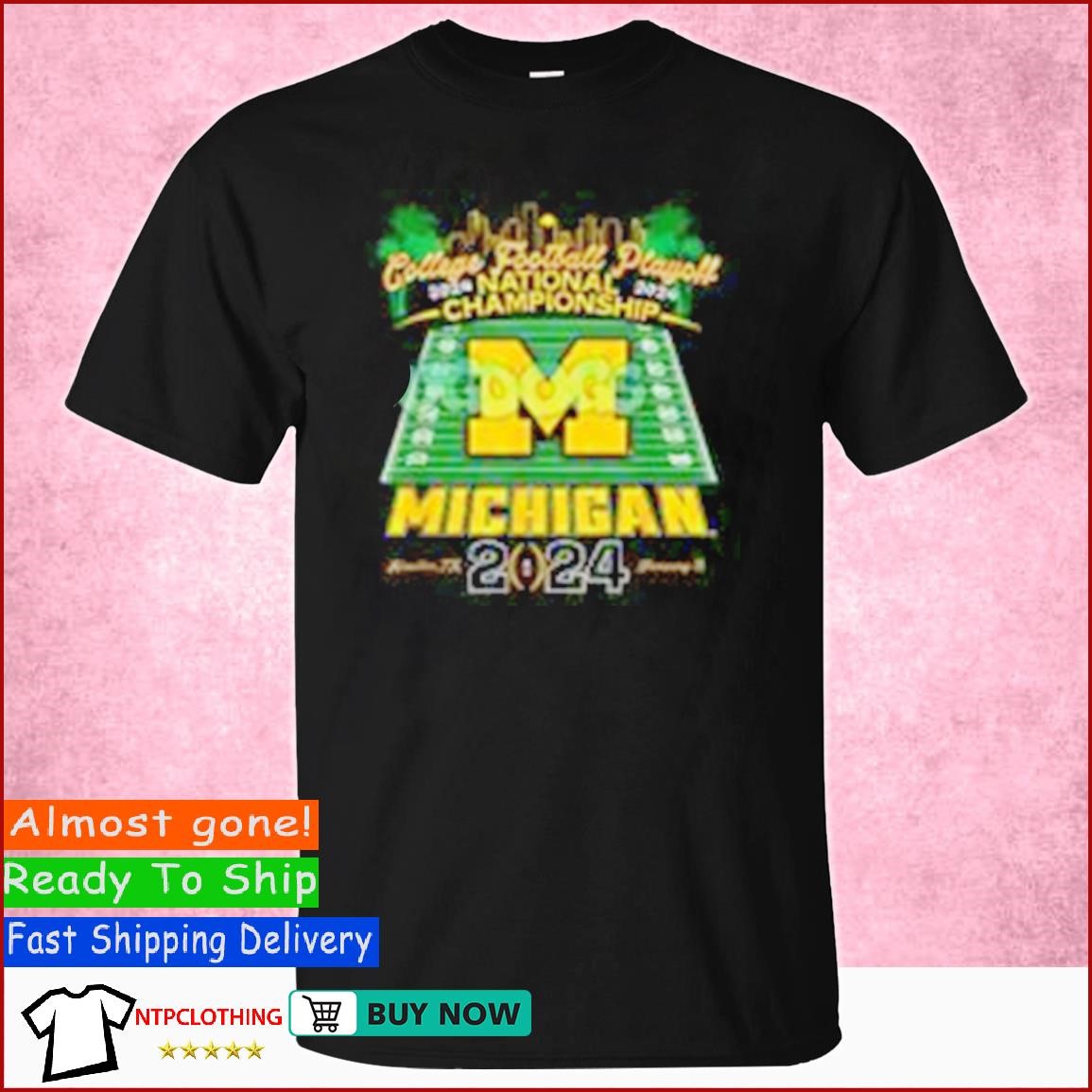College Football Playoff Stadium Michigan Wolverines 2024 Championship shirt