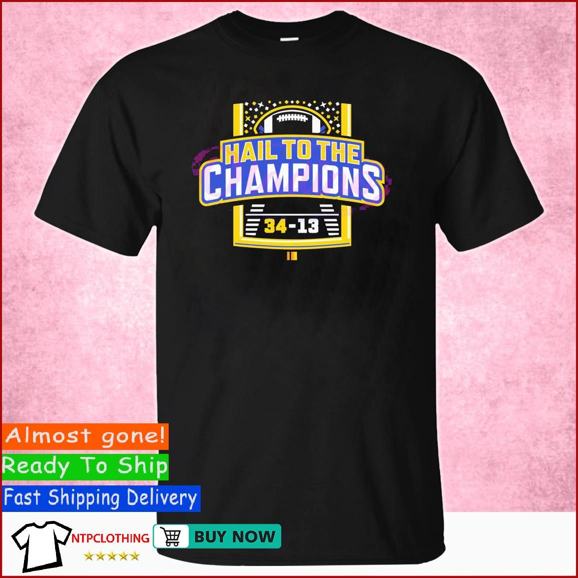Hail To The Champions Michigan Wolverines Football 34-13 shirt