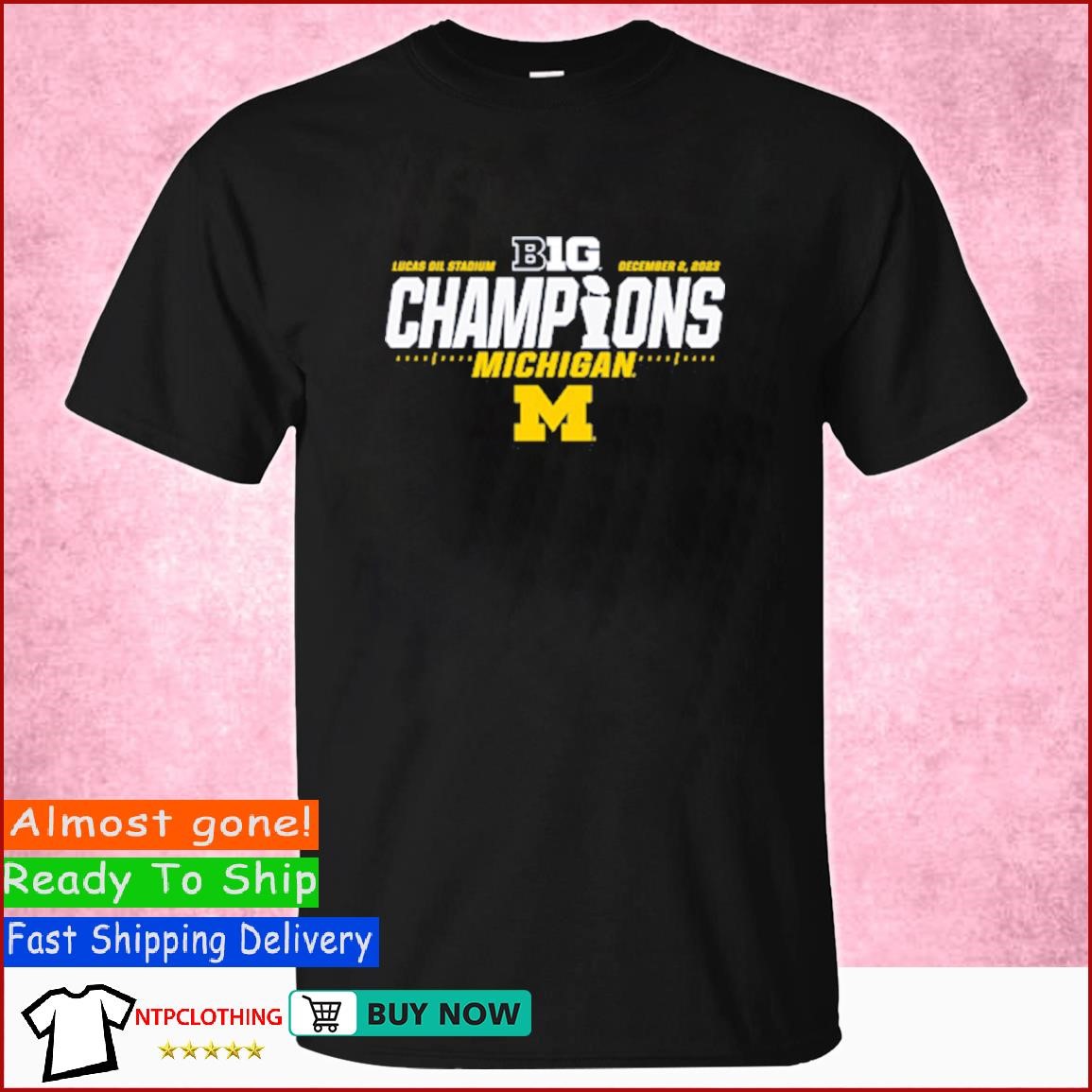 Lucas Oil Stadium University of Michigan Football 2023 Big Ten Champions T Shirt