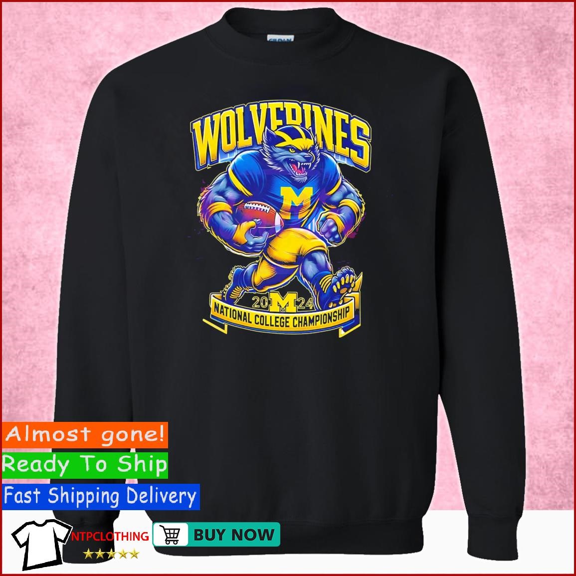 University of Michigan 2024 mascot National Championship shirt, hoodie