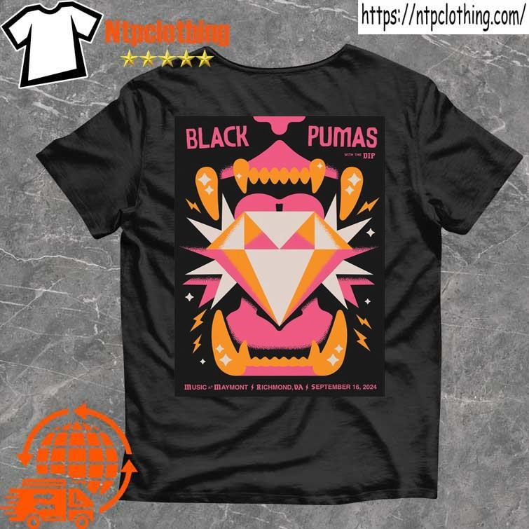 Official Black Pumas Music At Maymont In Richmond Va September 16 2024 Poster T Shirt