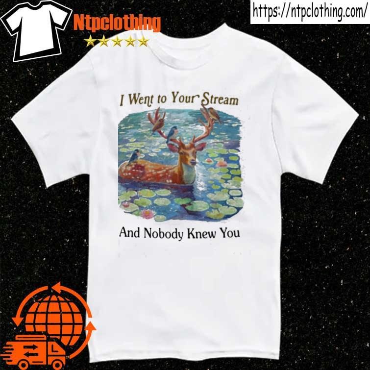 Official I Went To Your Stream And Nobody Knew You T Shirt